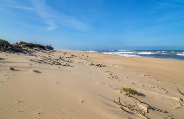 Figueira da Foz, Portekiz yakınlarındaki güzel boş sahil.