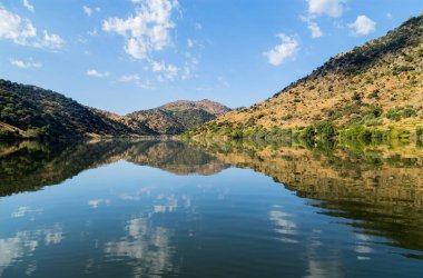 Douro Nehri Portekiz 'in kuzeyinden akıyor. Douro Bölgesi.