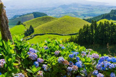 Azores Portekiz 'in güzel manzaraları. Sao Miguel Adası, Azores 'te tropikal doğa.