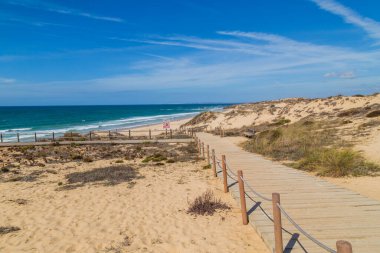 Vila Nova de Milfontes, Alentejo, Portekiz yakınlarındaki bir sahilde odun geçidi.