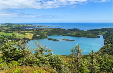 Lough Hyne, West Cork, İrlanda