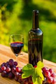 láhev vína a hrozny na dřevěném stole, venkovní