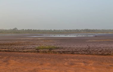 Bissau dışında pirinç tarlaları yazın, Gine-Bissau