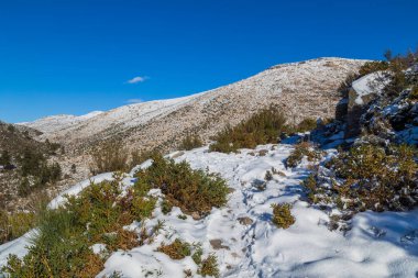 Portekiz 'deki Serra do Geres doğal parkında karlı kış manzarası.