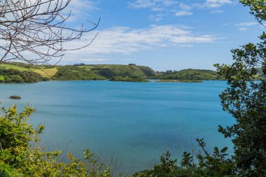 Lough Hyne, West Cork, İrlanda