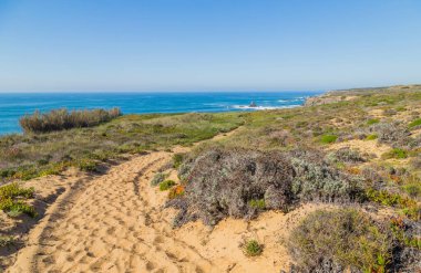 Atlantik kayalık kıyı manzarası, Aljezur, Algarve batı, Costa Vicentina, Portekiz.