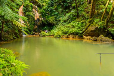 Caldeira Velha 'da şelale, ribeira grande, Natural Spa, Sao Miguel, Azores, Portekiz