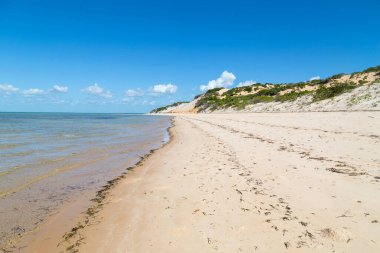 Mozambik 'teki güzel ıssız plaj.