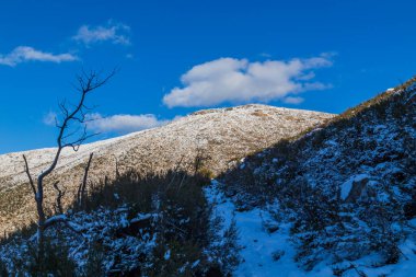 Portekiz 'deki Serra do Geres doğal parkında karlı kış manzarası.