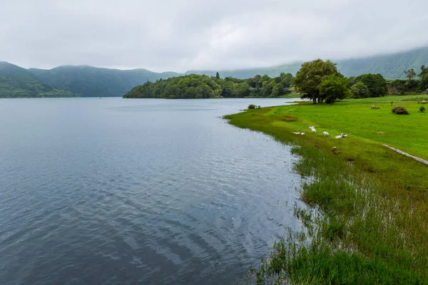 Blick Auf Den See Sete Cidades Nebel Ein Vulkanischer Kratersee — Stockfoto