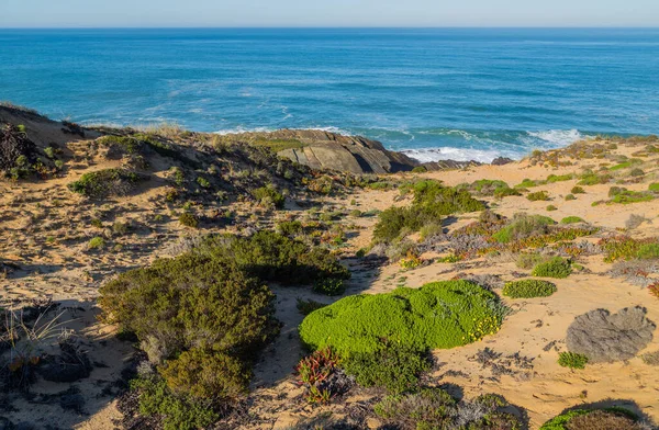 大西洋岸の岩の景色 Alentejo ポルトガル — ストック写真