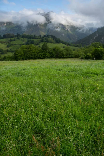 Widok Góry Picos Europa Asturias Hiszpania — Zdjęcie stockowe