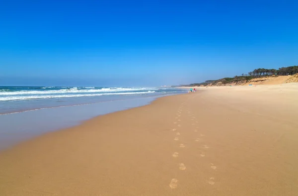 Piękna Pusta Plaża Niedaleko Aveiro Portugalia — Zdjęcie stockowe