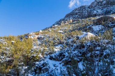 Portekiz 'deki Serra do Geres doğal parkında karlı kış manzarası.