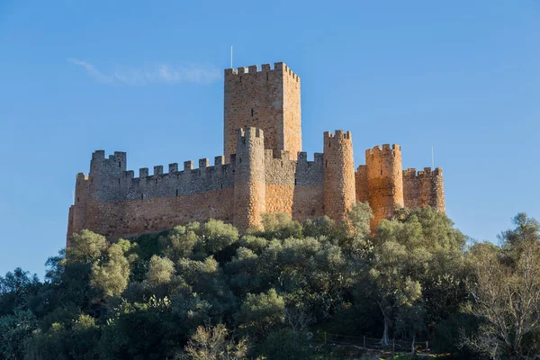 Hrad Almourol Středověký Hrad Středním Portugalsku Ležící Malém Skalnatém Ostrůvku — Stock fotografie
