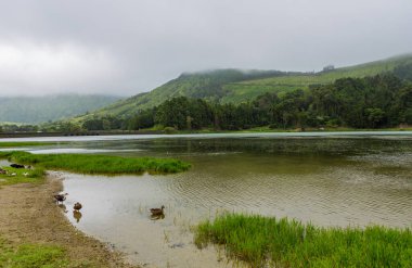 Sete Cidades Gölü 'nün sisli manzarası Sao Miguel Adası, Azores, Portekiz' deki volkanik bir krater gölü.