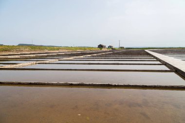 Figueira da Foz, Portekiz 'de geleneksel tuz toplama kampı (Salinas)