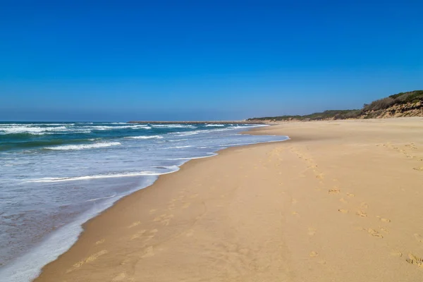 Schöner Leerer Strand Bei Aveiro Portugal — Stockfoto