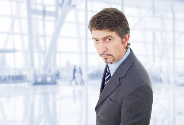 Louco Homem Negócios Retrato Escritório — Fotografia de Stock