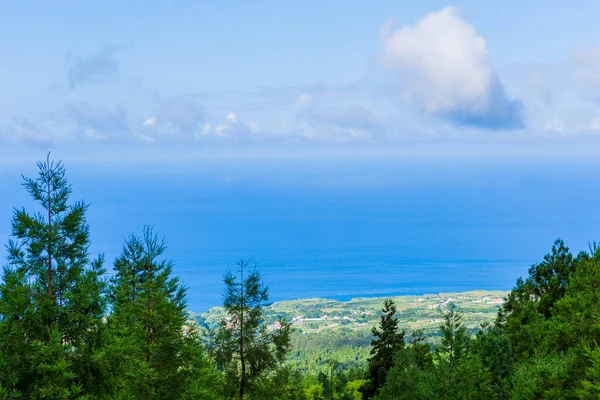 Vackra Landskap Azorerna Portugal Tropisk Natur Sao Miguel Island Azorerna — Stockfoto