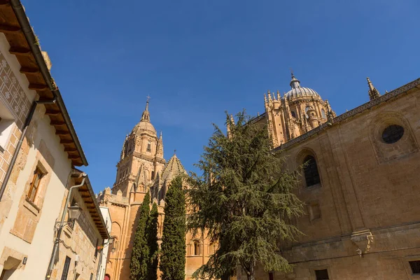 Pohled Historickou Katedrálu Salamanca Španělsko — Stock fotografie
