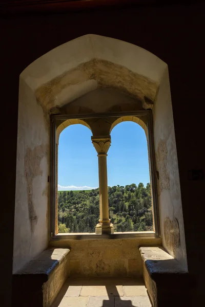 Ségovie Espagne Célèbre Château Alcazar Ségovie Détails Intérieurs Castilla Leon — Photo