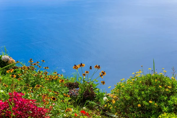 Azores Deki Sao Miguel Adasının Kuzeydoğusunda Ponta Sossego Nun Bakış — Stok fotoğraf