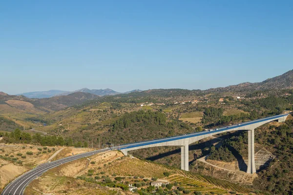 Vista Panoramica Sulla Valle Del Douro Sul Fiume Con Vigneti — Foto Stock