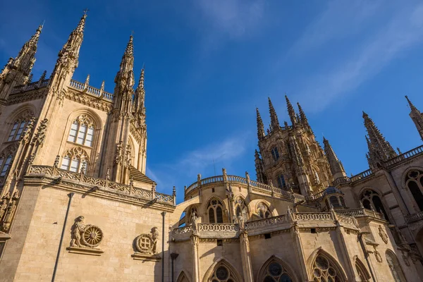 Santa Maria Burgos Katedrali Spanya Nın Büyük Gotik Üssüdür Burgos — Stok fotoğraf