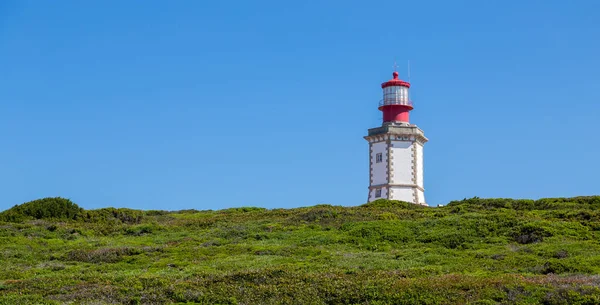 葡萄牙埃斯皮谢尔角悬崖顶上的灯塔 四周都是植被 — 图库照片