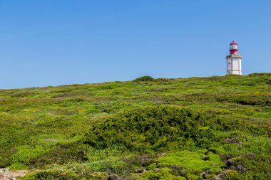 Uçurumun tepesindeki deniz feneri ve Portekiz 'in Cape Espichel kentindeki bitki örtüsüyle çevrili.
