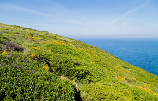 Naturpark Küste Von Arrabida Sesimbra Portugal — Stockfoto