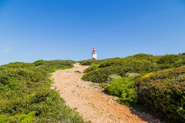 Faro Cima Alla Scogliera Circondato Dalla Vegetazione Capo Espichel Portogallo — Foto Stock