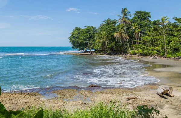 Playa Del Océano Tropical Con Palmeras Costa Rica —  Fotos de Stock