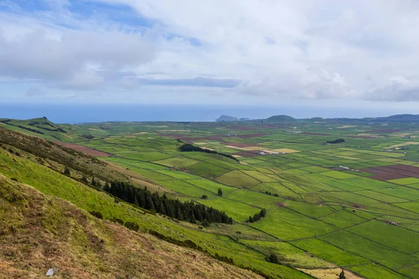 Ovanifrån Åkrar Terceira Azorerna Portugal — Stockfoto