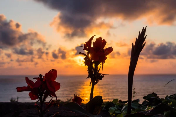 Santa Cruz Das Flores Güzel Bir Gün Batımı Flores Adası — Stok fotoğraf