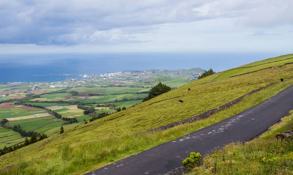 Ovanifrån Åkrar Terceira Azorerna Portugal — Stockfoto