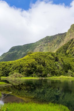 Flores adasındaki Azores şelaleleri ve uçurumları. Portekiz.