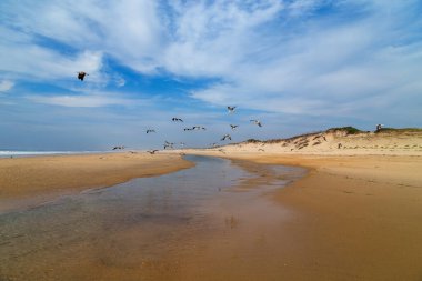 Portekiz, Aveiro yakınlarında güzel boş bir sahil.