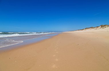Sao Martinho do Porto, Portekiz yakınlarındaki güzel boş sahil.