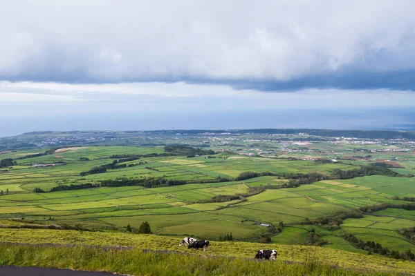 Ovanifrån Åkrar Terceira Azorerna Portugal — Stockfoto