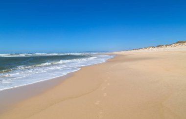 Sao Martinho do Porto, Portekiz yakınlarındaki güzel boş sahil.