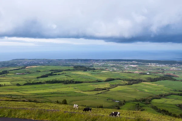 Vista Superior Dos Campos Agrícolas Ilha Terceira Nos Açores Portugal — Fotografia de Stock