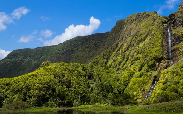 Flores Adasındaki Azores Şelaleleri Uçurumları Portekiz — Stok fotoğraf