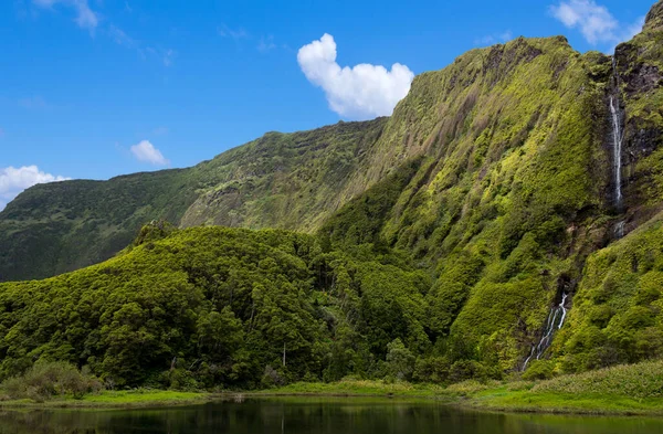 Flores Adasındaki Azores Şelaleleri Uçurumları Portekiz — Stok fotoğraf