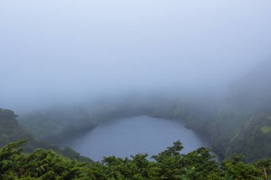 Flores Adası 'ndaki derin göl, Azores Takımadası, Portekiz. Yeşil bitki örtülü yeşil bir göl.