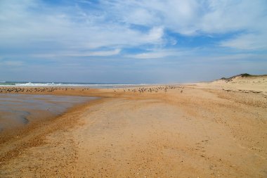 Portekiz, Aveiro yakınlarında güzel boş bir sahil.