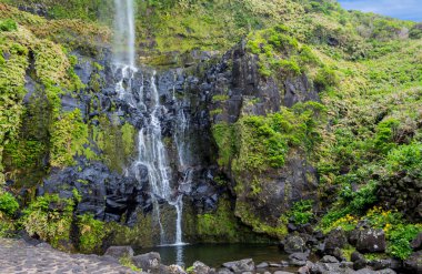 Flores adasındaki Azores şelaleleri ve uçurumları. Portekiz.