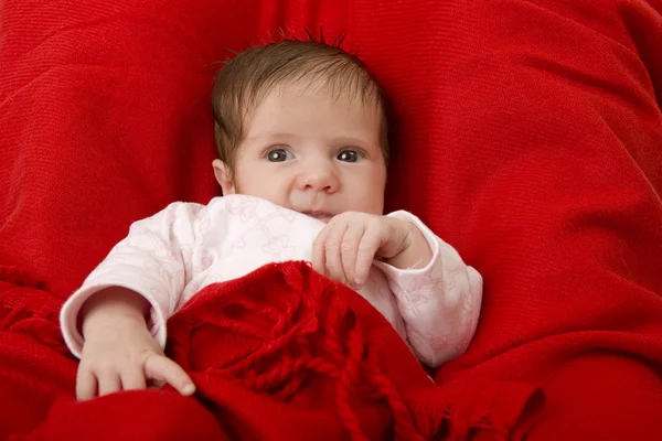 Young baby — Stock Photo, Image