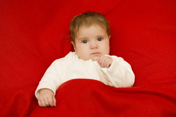 Jeune portrait de bébé — Photo